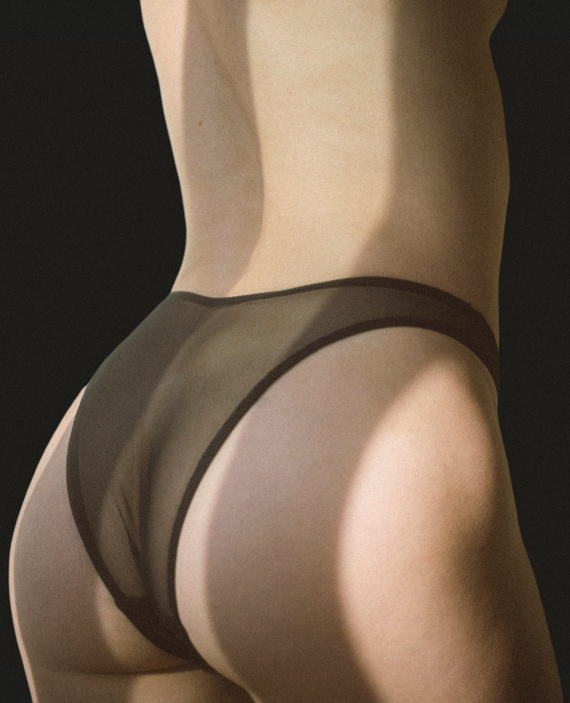 LILLE | sheer